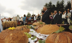 Święto plonów - dożynki [foto]