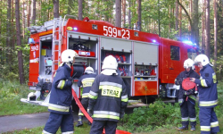 Pożar lasu w Błotnicy - ćwiczenia