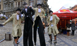 Festiwal Muzyki Barokowej [foto i video]