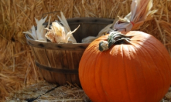 Halloween kultywować, czy nie?