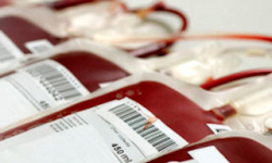 Zebrano ponad 12 litrów krwi