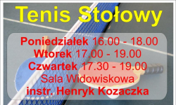 Tenis Stołowy z doświadczonym instruktorem 