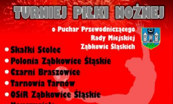 Sylwestrowy Turniej Piłki Nożnej 