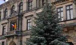 Świąteczne drzewko na kłodzkim rynku