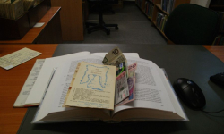 Co bibliotekarki znajdują w książkach? 