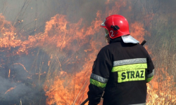Śmiertelny wypadek i płonąca trawa. Strażacki bilans tygodnia