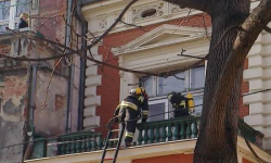 Psy nie chciały dopuścić strażaków do chorej właścicielki