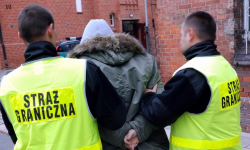 Zatrzymano członków gangu