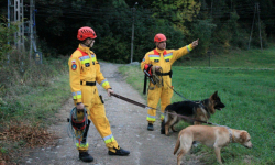  Psi węch doprowadzi do zaginionego