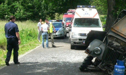 Pijany uderzył w drzewo. Prawo jazdy stracił już 6 lat temu 