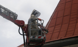 Strażacy usuwają gniazda owadów, ale nie wszędzie