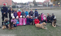 Przedszkolaki szkoliły psy