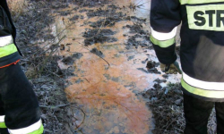 Dawna wieś Pilce: Nieznana substancja w akwenie