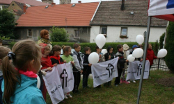 Uroczyste sadzenie dębu ˝Cysters˝