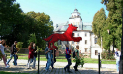 Dzieje się w Międzylesiu
