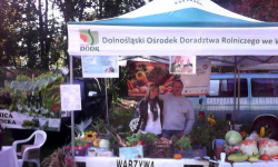 Dolnośląskie Święto Owoców i Warzyw - Dary Jesieni