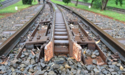 Kolizje i drzewo, które spadło na tory kolejowe