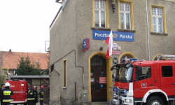 Zdechły szczur w przesyłce pocztowej