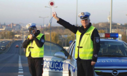 Podczas policyjnej akcji zatrzymano 227 dowodów rejestracyjnych