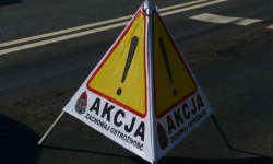 Powalone drzewo blokuje ruch na krajowej ósemce