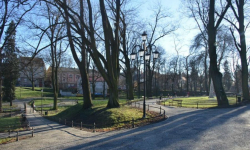Kamery w parku miejskim