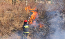 Wypalanie traw zmorą strażaków