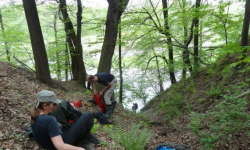 Geolodzy pojawią się w Stoszowicach