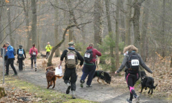 Zawody Pucharu Polski w Dogtrekkingu 2015 w Złotym Stoku