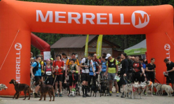 Mistrzostwa Polski w dogtrekkingu