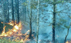 Wysokie zagrożenie pożarowe na terenie województwa