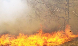 Zakaz wstępu do lasów Nadleśnictwa Bardo Śląskie