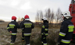 Pożar nieużytków. Spłonęło około 20 hektarów