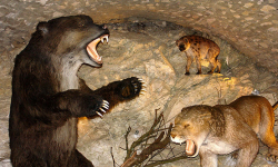 Makiety zwierząt w jaskini w Kletnie