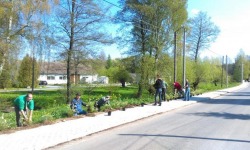 Ząbkowicka gmina coraz bardziej zielona. Kolejna edycja akcji