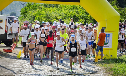Półmaraton Henrykowski: najgorętszy bieg roku?