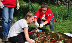 Darmowe szkolenie z zakresu pierwszej pomocy. Są wolne miejsca