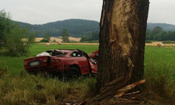 Groźne zdarzenie na krajowej ósemce. Honda przeleciała przez rów i uderzyła w drzewo [AKTUALIZACJA]