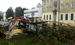 Strażacy usuwają powalone drzewa w powiecie strzelińskim