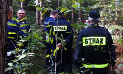 Policjanci i strażacy szukali zaginionego grzybiarza