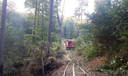 Pożar lasu na Przełęczy Wilczej
