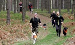 Nadchodzi finał Pucharu Polski w dogtrekkingu