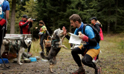 Finał Pucharu Polski w Dogtrekkingu. Znamy najlepszych