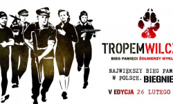 W Ziębicach też pobiegną „Wilczym Tropem”