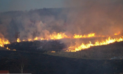 Rozpoczął się sezon na wypalanie traw. Strażacy gaszą po kilka pożarów dziennie