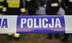 Z kartoteki policyjnej: złodzieje drzewa, wybita szyba w szkole