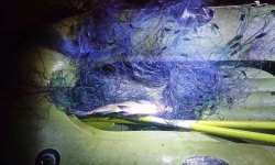 Wypłynął na środek stawu i rozstawiał sieć. Wpadł w ręce straży rybackiej