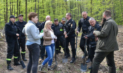Policjanci, strażacy i samorządowcy zasadzili 1200 drzew