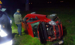 Samochód zderzył się z sarną i dachował