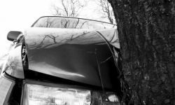 Przysnął za kierownicą. Zjechał z drogi i uderzył w drzewo