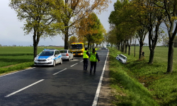 Apel rodziny: kto widział ten wypadek? Pytań jest więcej